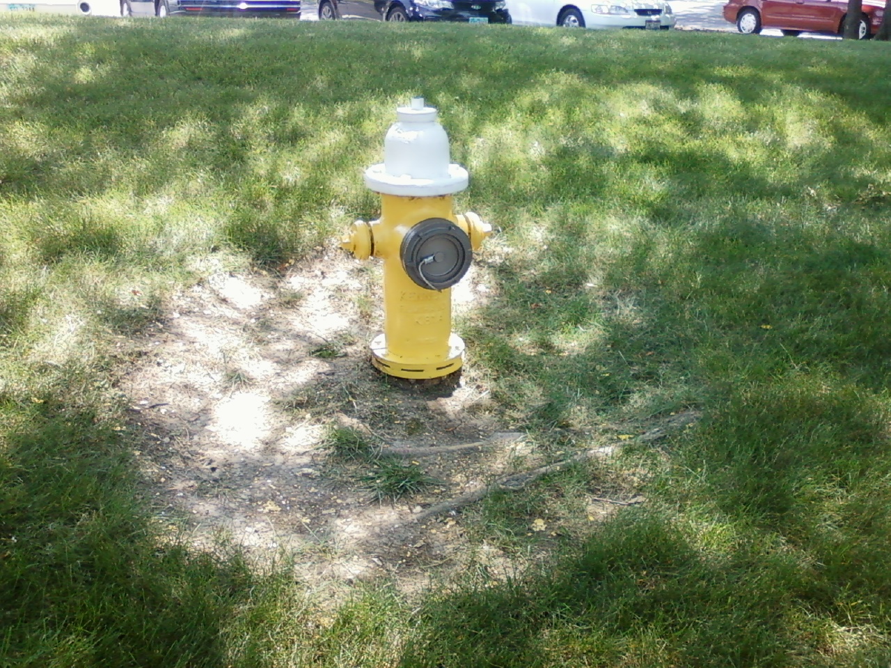 Fire Hydrants City of Maumee